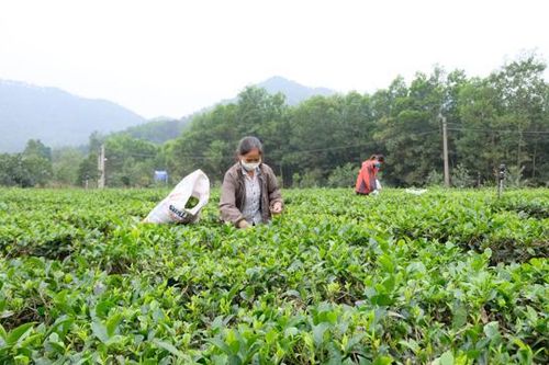 3 huyện của Hà Nội không còn hộ nghèo theo chuẩn mới