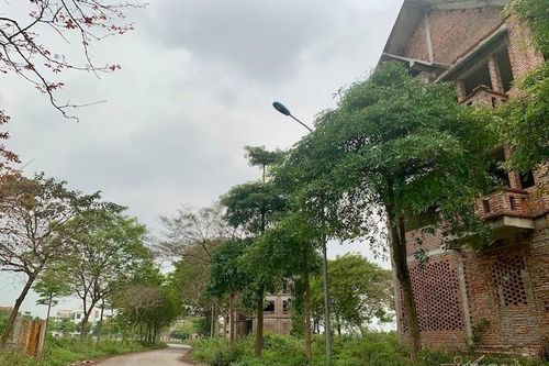 Phó Thủ tướng giao Bộ Tài chính nghiên cứu bổ sung thuế nhà đất tránh đầu cơ