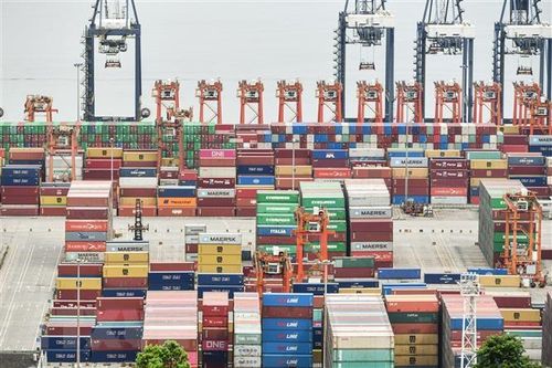 Thụy Sĩ lo ngại về tình trạng gián đoạn chuỗi cung ứng toàn cầu