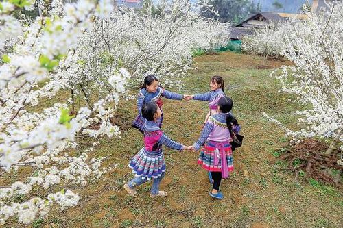 Bình yên cao nguyên trắng
