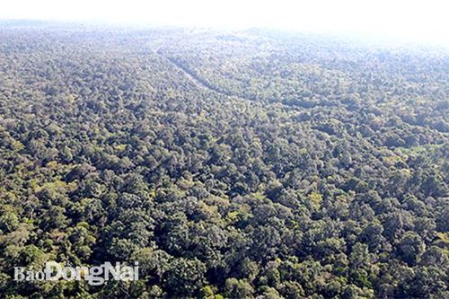 Nghiên cứu kỹ để tìm phương án khả thi, hiệu quả