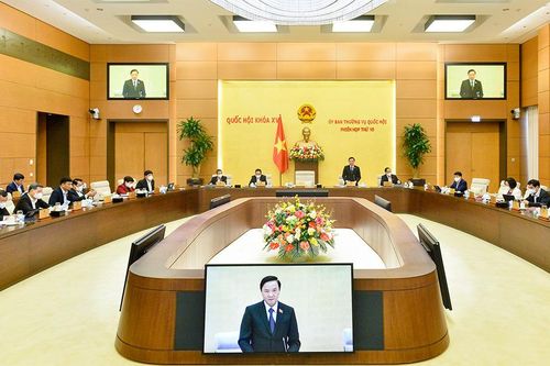 Thể chế hóa tối đa chủ trương, đường lối của Đảng về công tác thanh tra