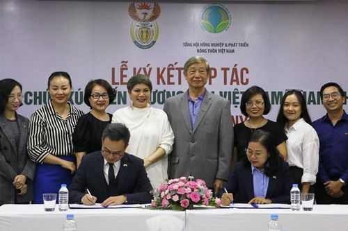 Thúc đẩy hợp tác thương mại giữa Việt Nam và Nam Phi