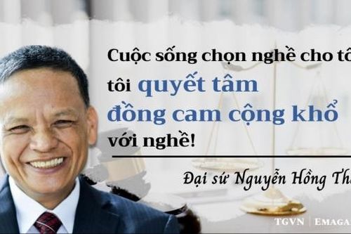 Đại sứ Nguyễn Hồng Thao: Cuộc sống chọn nghề cho tôi, tôi quyết tâm 'đồng cam cộng khổ' với nghề!