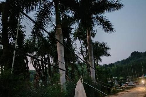 Sơn La: Đổ cột, dây cáp viễn thông treo lơ lửng giữa đường như 'cái bẫy'