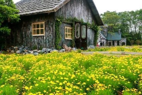 Nghệ sĩ Vpop làm sống lại giai điệu acoustic giữa bạt ngàn hoa