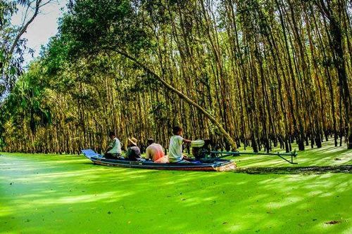 Tạp chí Travel đánh giá đồng bằng sông Cửu Long là điểm đến tiềm năng