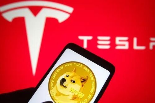 Dogecoin bật tăng sau tin tỷ phú Elon Musk mua Twitter