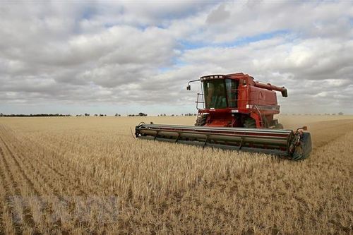 Bầu cử Australia: Công đảng đưa ra cam kết tranh cử
