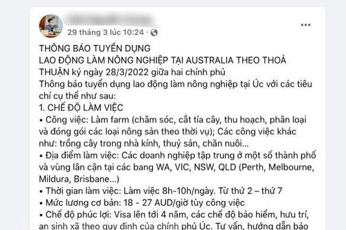 Ngăn chặn việc lừa đảo về Chương trình lao động nông nghiệp Australia