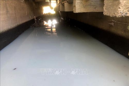 Quảng Ngãi: Khắc phục sự cố vỡ đường ống làm nước thải tràn ra kênh tiêu thoát