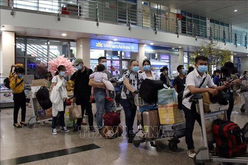 Cải tiến quy trình kiểm dịch y tế, giảm ùn tắc tại sân bay Tân Sơn Nhất