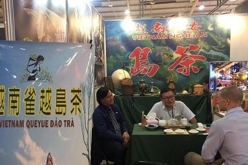 Tư vấn xuất khẩu chè, cà phê sang Đài Loan và Hồng Kông