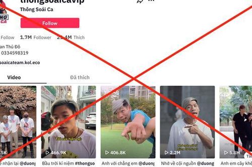 Khi những hiện tượng mạng 'trời ơi đất hỡi' được tung hô