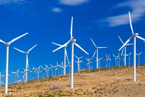 Bài toán thuế carbon của Việt Nam trong xu hướng phát triển xanh