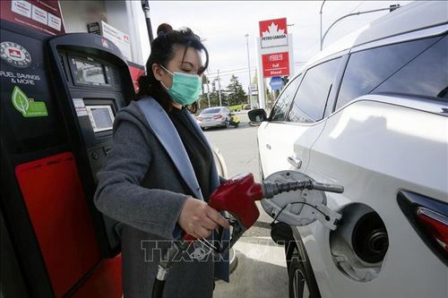 WB dự báo giá năng lượng, thực phẩm sẽ leo cao trong 3 năm