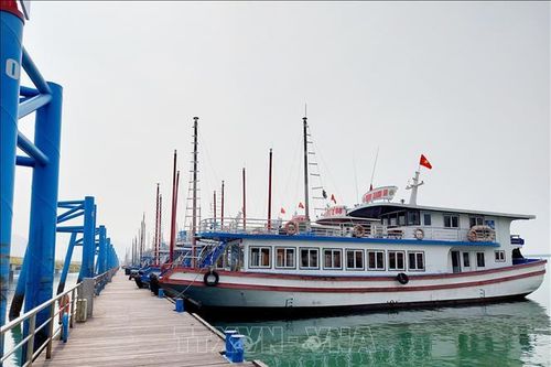 Quảng Ninh: Hàng loạt tàu du lịch sẽ không được xuất bến dịp nghỉ lễ 30/4