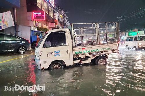 TP.Biên Hòa: Chủ động ứng phó với thiên tai trước và trong mùa mưa