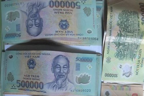 Vợ chồng lãnh án 21 năm tù vì cùng tham gia trộm cắp tài sản