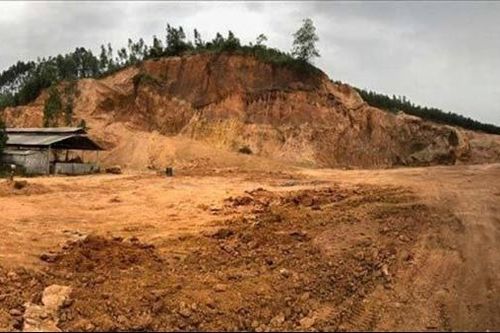 Giám đốc công ty mua bán trái phép hóa đơn, thu lợi hơn 4 tỷ đồng