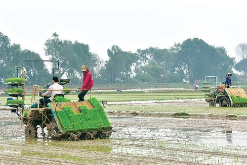 Tạo động lực cơ giới hóa nông nghiệp
