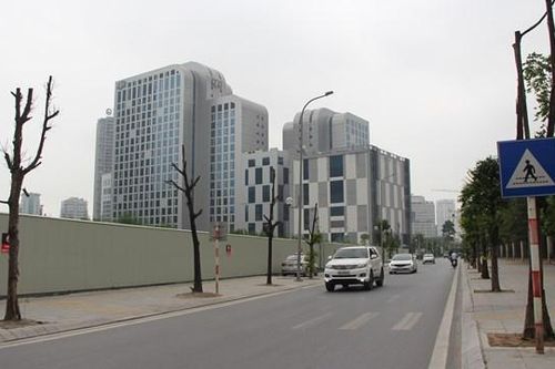 Hà Nội: Xót xa hàng chục cây xanh chết khô trên đường Trương Công Giai