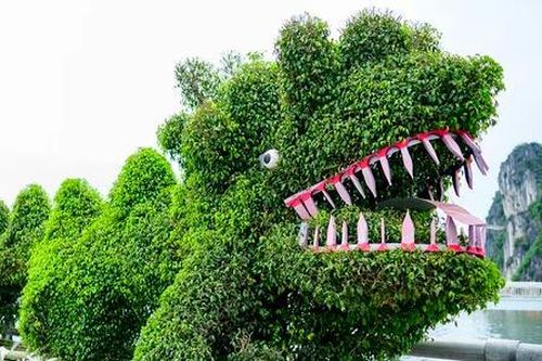 Mạng xã hội xôn xao vì 'rồng lạ' xuất hiện ở vịnh Hạ Long