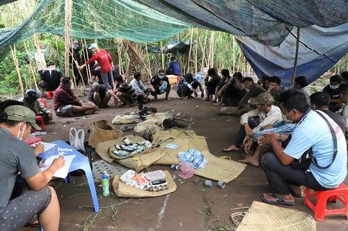 32 đối tượng từ các tỉnh hội tụ đá gà trong rừng tràm ở Hậu Giang bị vây bắt