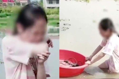 Trung Quốc: Cha bắt con gái đào củ sen giữa trời nắng gắt khiến cộng đồng mạng dậy sóng