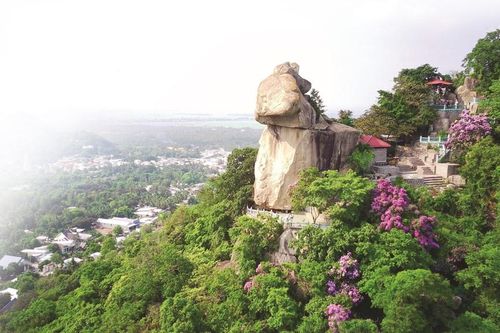 Sắc tím của rừng!