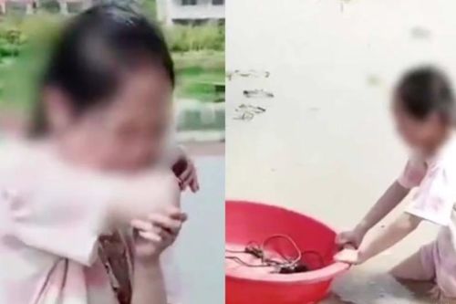 Con gái 11 tuổi muốn bỏ học, bố cho ra đồng phơi nắng suốt 4 tiếng để đào củ sen