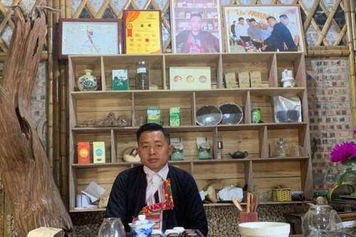Hành trình hồi sinh, đưa chè rừng Hà Giang ra thế giới