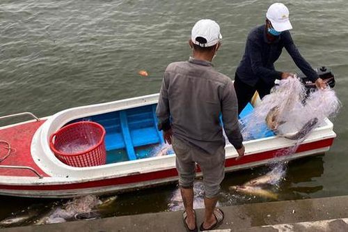 Xôn xao hình ảnh 'thả lưới, bắt cá' ở Hồ Tây