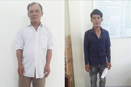 Khởi tố, bắt tạm giam các đối tượng hành hung lực lượng bảo vệ rừng ở Ninh Thuận