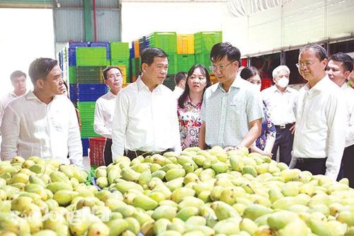 Tiết kiệm nguồn lực, tăng hiệu quả đầu tư
