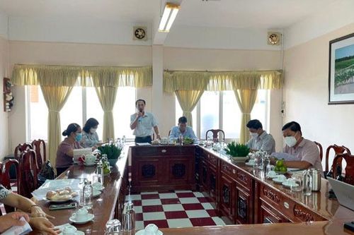 Đẩy nhanh tiến độ thực hiện dự án phát triển chuỗi giá trị xoài tại Đồng Tháp