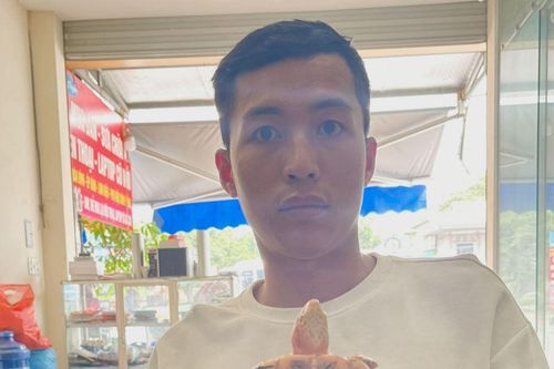 Khởi tố đối tượng bán động vật quý, hiếm