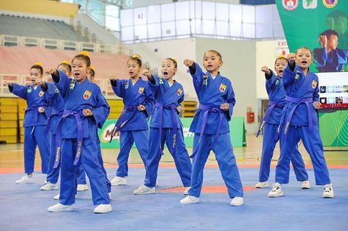 Đẩy mạnh võ Việt trong học đường