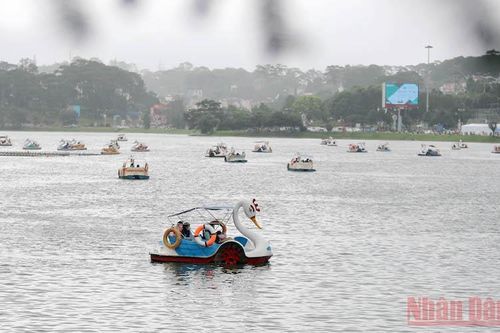 Trải nghiệm thành phố mưa bay