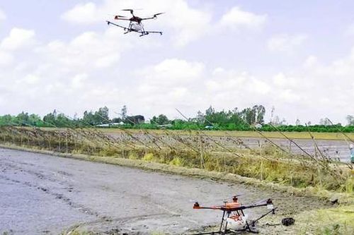 Luồng gió mới từ nông dân thời @