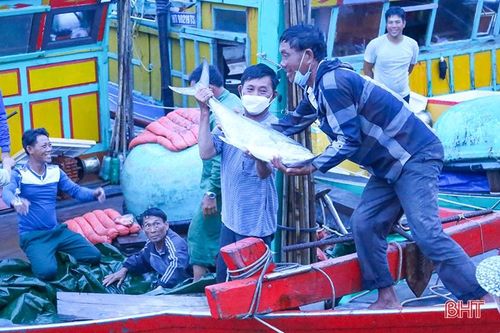 Ngư dân 'vui như hội' mùa du lịch biển Hà Tĩnh