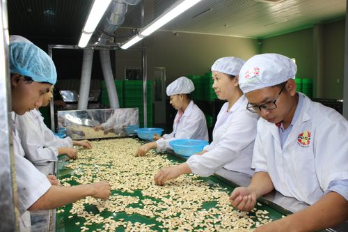 Nghiên cứu phản ánh về rủi ro lừa đảo trong xuất khẩu nông sản