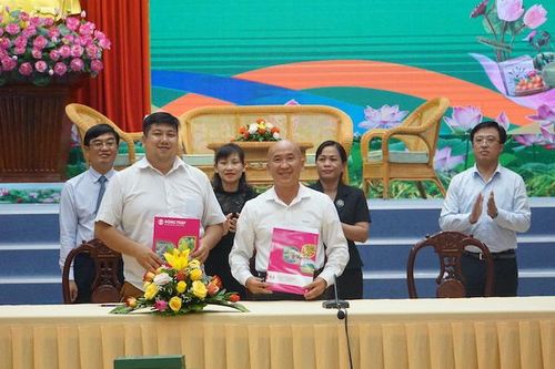 Xúc tiến thương mại sản phẩm OCOP đồng bằng sông Cửu Long với các nhà thu mua và xuất nhập khẩu