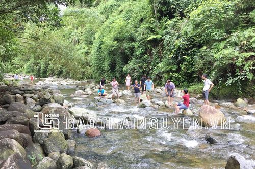 Khơi thông nguồn lực vùng Việt Bắc