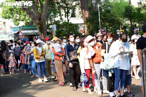 Xếp hàng dài chờ mua vé vào Thảo cầm viên