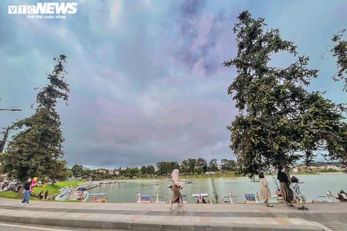 TP Đà Lạt vắng vẻ chưa từng thấy, hàng loạt khách sạn treo biển còn phòng