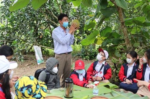 Quảng Ngãi: Khi nông dân làm du lịch