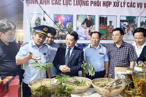 Gian hàng đặc biệt tại Phiên chợ Sâm Ngọc Linh