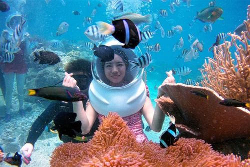 Đến Nha Trang thử đi bộ dưới biển