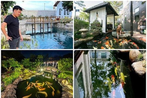 Hồ cá Koi bạc tỷ trong biệt thự đi mỏi chân của sao Việt